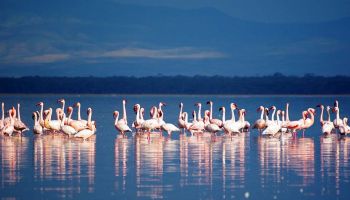 Δυτικές ακτές